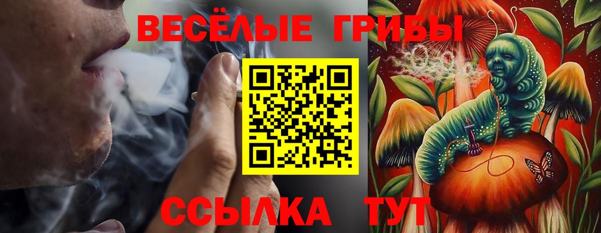 Альметьевск  Галлюциногенные грибы Cubensis  Галлюциногенные грибы ЛСД  Вход с VPN 